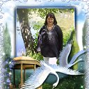 ���� �������, ������ ��������, 67 ��� - ��������� 31 ���� 2019 � ������ ������ ����� ���������