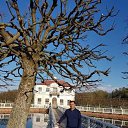  , -, 59  -  21  2019