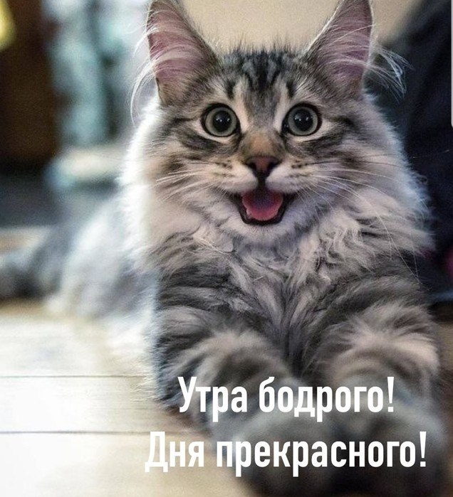 )))