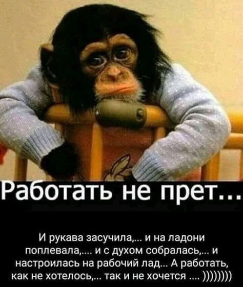 ***Victoria Viktorovna*** - 27  2019  15:42