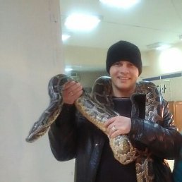 ������, ����-���, 38 ���