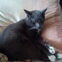 ���� �����, ���������, 64 ���� - ��������� 13 ���� 2019 � ������ ���� ����������