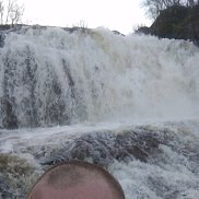 �������, 37 ���, ��������