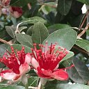 ���� ����, �����������, 50 ��� - ��������� 6 ������ 2019 � ������ ������������� ���