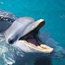  ˜”*°Empty Eyes°*”˜,  -  7  2019   Tropikania