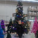 ���� ������, ����� - ��������� 24 ������ 2019 � ������ ���������� ������