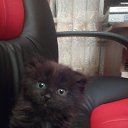 ���� Anna, ������ - ��������� 9 ������ 2019 � ������ ������ ��������