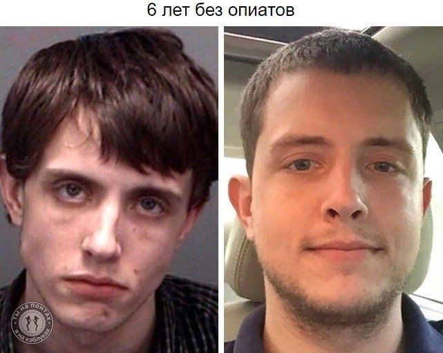   ,     : - 5