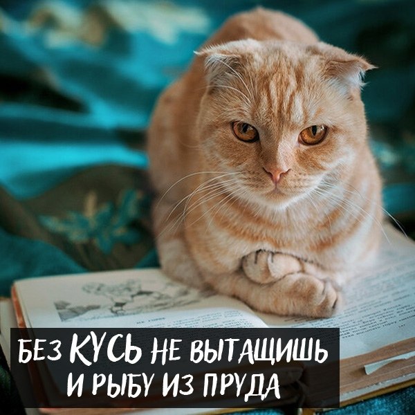       - 2