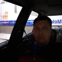 ���� �����, �����, 51 ��� - ��������� 4 ������� 2019