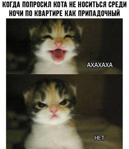    - 16  2019  18:03