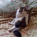 ���� �������, ������ ��������, 50 ��� - ��������� 2 ��� 2019 � ������ ���� ����������