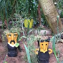 ���� ����, �����������, 50 ��� - ��������� 6 ������ 2019 � ������ ������������� ���