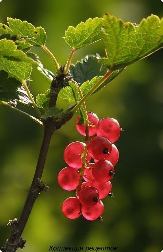   - 15  2019  18:28 - 3