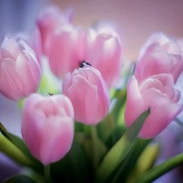 ���� �����, ������ ��������, 42 ���� - ��������� 8 ������ 2019