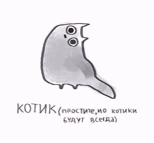 ,     :