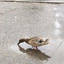 ���� �������, �������� - ��������� 24 ���� 2019 � ������ ������ ��������