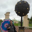  , -, 55  -  21  2019