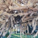  , , 50  -  9  2019    2019