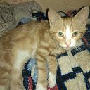 ���� ������, ������, 46 ��� - ��������� 17 ������� 2019 � ������ ���� ����������