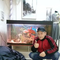 �����, ������, 51 ���