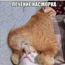 ���� ���������, ��������, 59 ��� - ��������� 23 ������ 2019 � ������ ������ ��������
