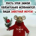   !,  -  31  2019    