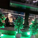 ���� ������, ������������, 57 ��� - ��������� 16 �������� 2019 � ������ ���� ����������