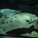 ���� Sandra, ������ - ��������� 6 ��� 2019 � ������ �������������