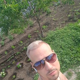 ���������, �����, 37 ���