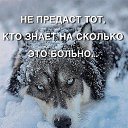 ���� ����, ������, 47 ��� - ��������� 19 ������� 2019 � ������ ���� ����������