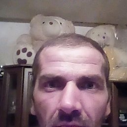 ���� �������, ����, 44 ���� - ��������� 28 �������� 2019