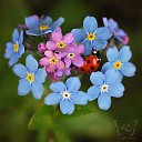 ���� �����, ���������, 48 ��� - ��������� 21 ������� 2019 � ������ ���� ����������