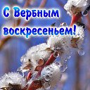  ,  -  21  2019    