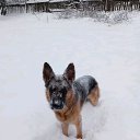 ���� ��������, ������, 48 ��� - ��������� 2 ������ 2020