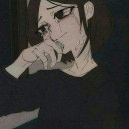 Bichon, ������, 24 ����