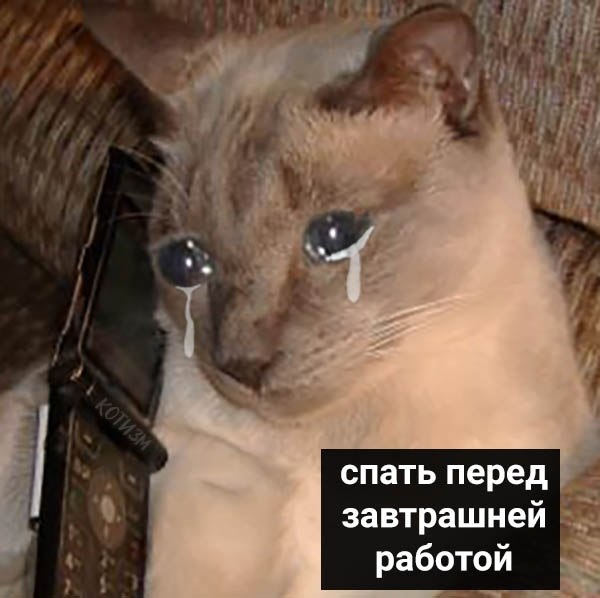    - 6