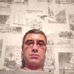 �������, ��������, 49 ���