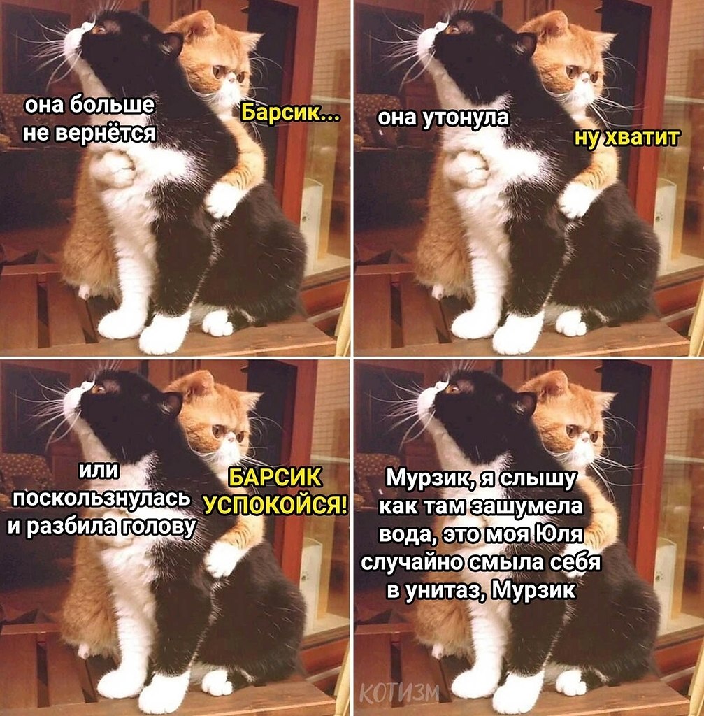   ,        ...
