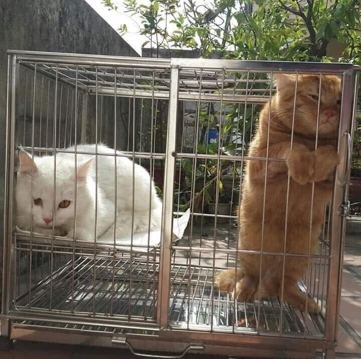 : 