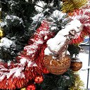 ���� ����, ����-���, 42 ���� - ��������� 12 ������� 2019 � ������ ������ ��������
