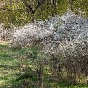 ���� ������, �����, 61 ��� - ��������� 27 ������ 2019 � ������ ����� ���������