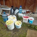  , , 67  -  2  2019     - .