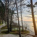 ���� Gintautas, ������, 66 ��� - ��������� 25 ������ 2019 � ������ ���� ����������