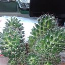 ���� ������ �������������, ������, 53 ���� - ��������� 17 ���� 2019 � ������ �������