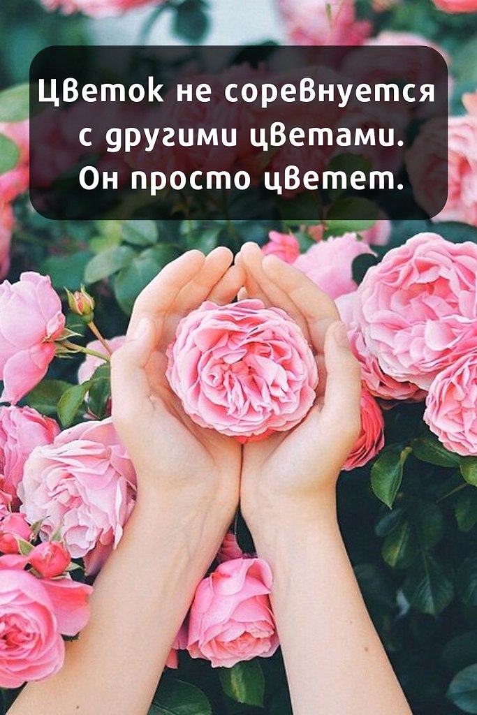   ! - 11  2019  09:22
