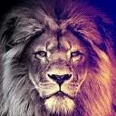 ���� �����, ������, 30 ��� - ��������� 1 ���� 2019 � ������ ���� ����������