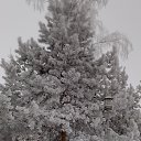 ���� ����, ���� - ��������� 2 ������ 2020 � ������ ���� ����������