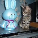  , , 67  -  22  2019    .