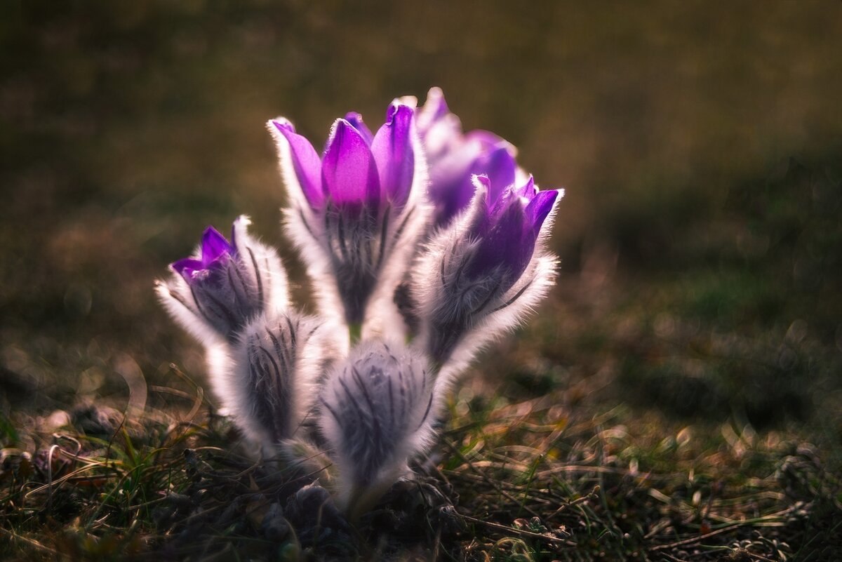  ! - 3  2019  13:43